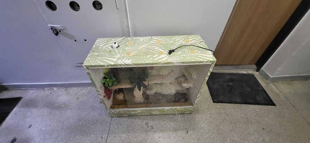 Terarium do gekonów,itp