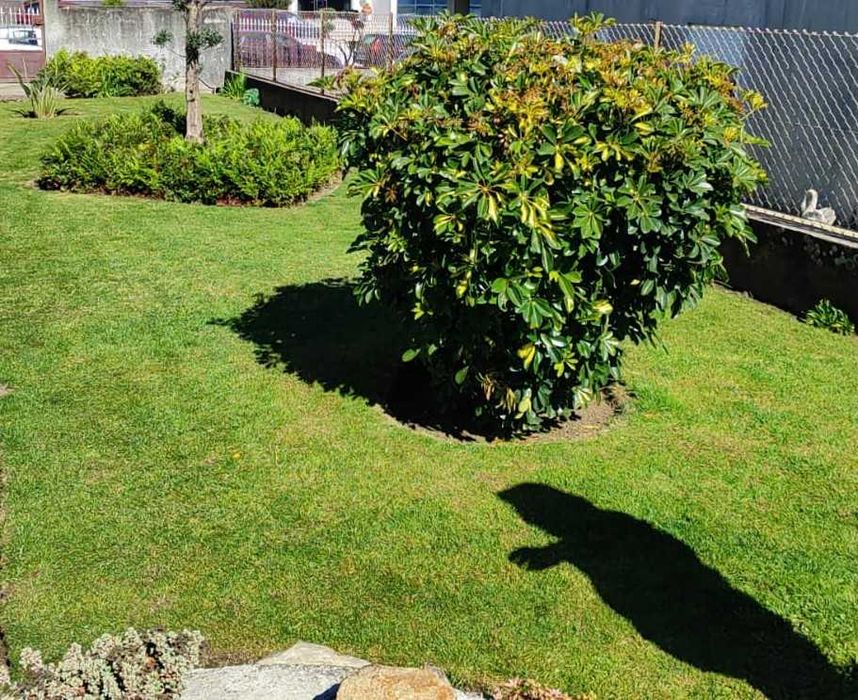 Limpeza de Terrenos e Jardins | Corte de Relva | Porto