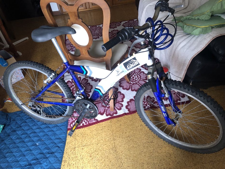 Bicicleta usada
