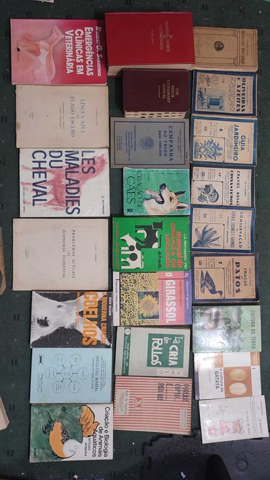 Lote livros Agricultura e Pecuária