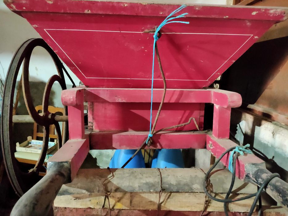 Esmagador de uvas eléctrico