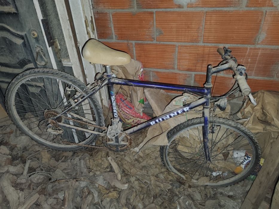 Bicicleta antiga