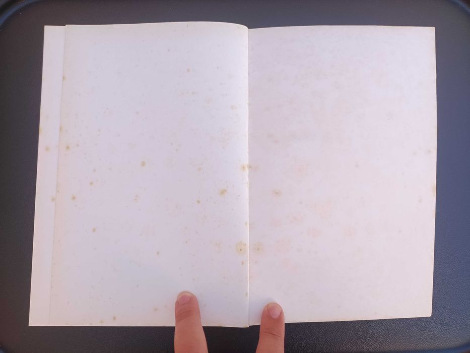 Livro "Os Sentimentos de Si", de António Damásio