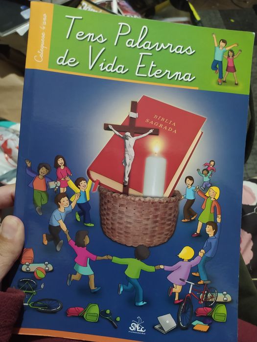 Tens palavras de vida eterna catequese manual 4° ano