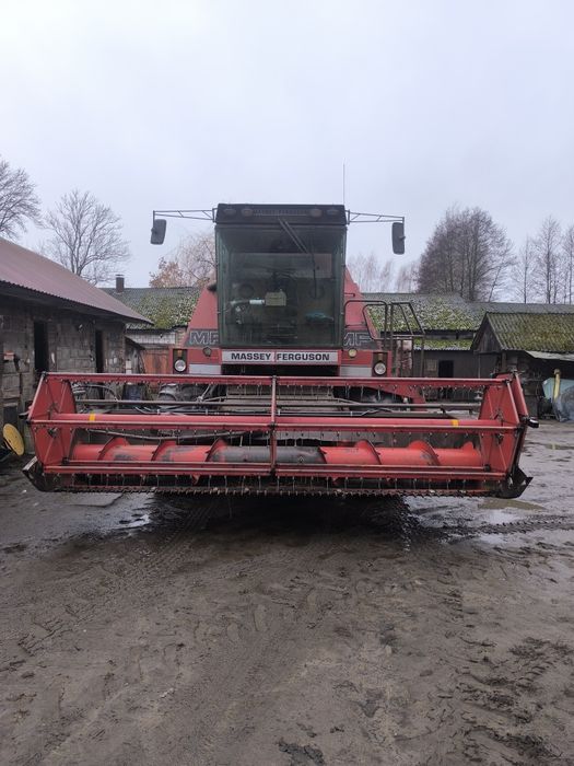 Kombajn zbożowy Massey Ferguson 31xp