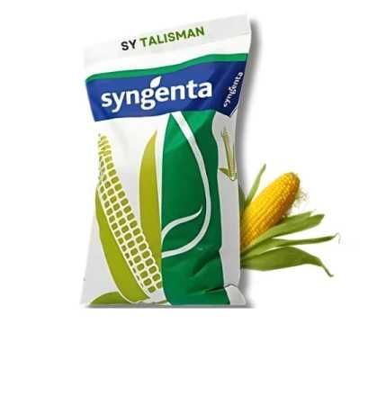 kukurydza rosomak boryna  danubio 50 tys