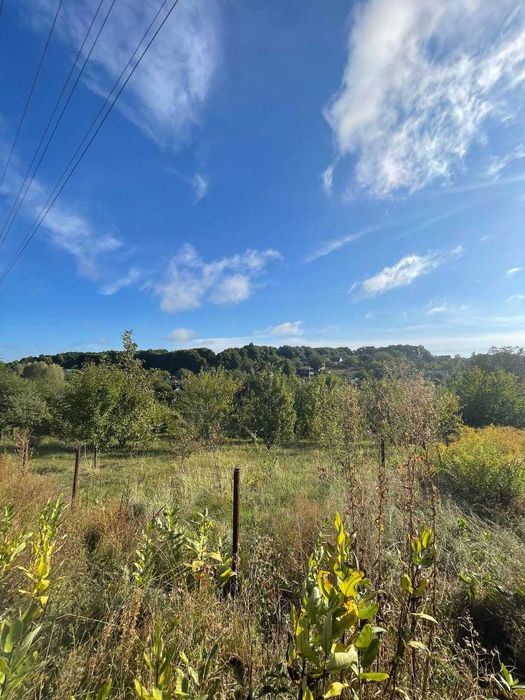 Продажа участка земли в СТ Припять (Васильковский район )