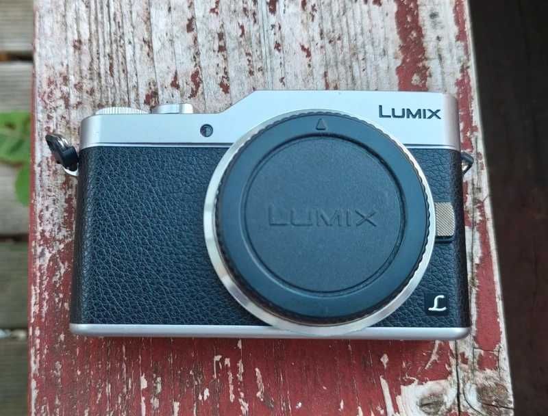 Panasonic Lumix DC-GX800