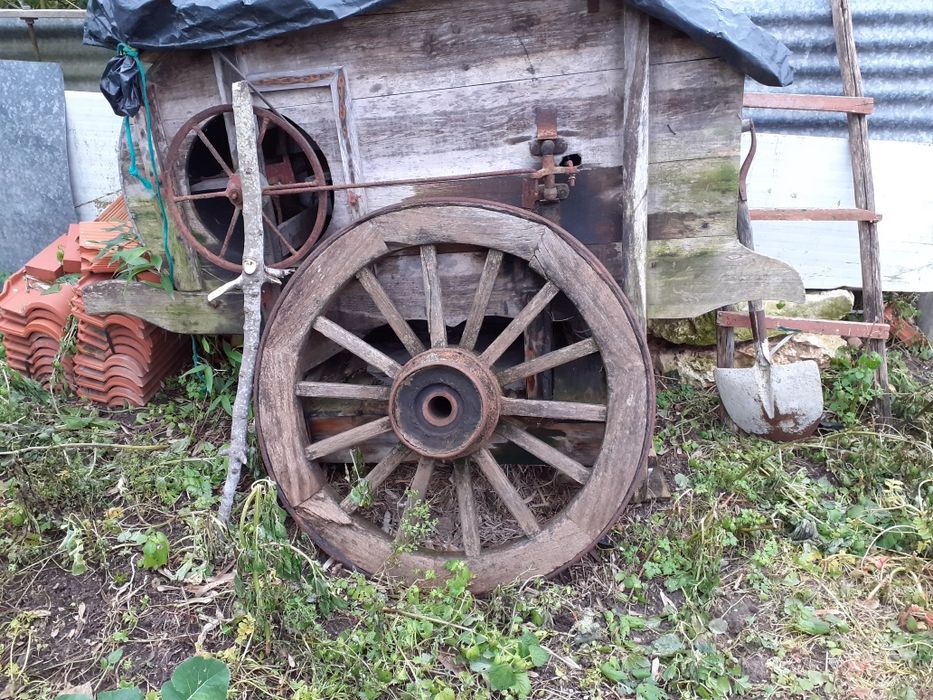 Roda de carro de bois