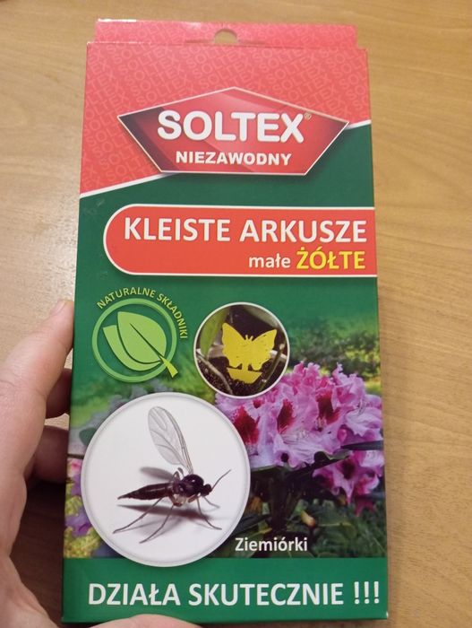 Lepy na ziemiórki 15 sztuk