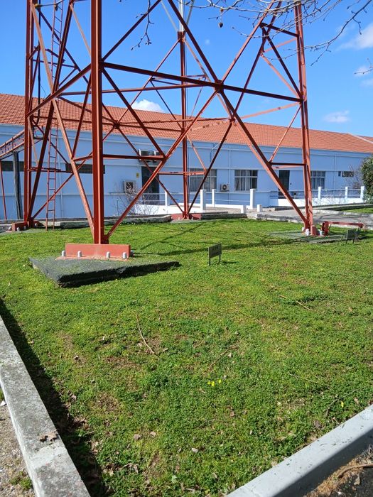 Limpeza e Manutenção de Terrenos e Jardins