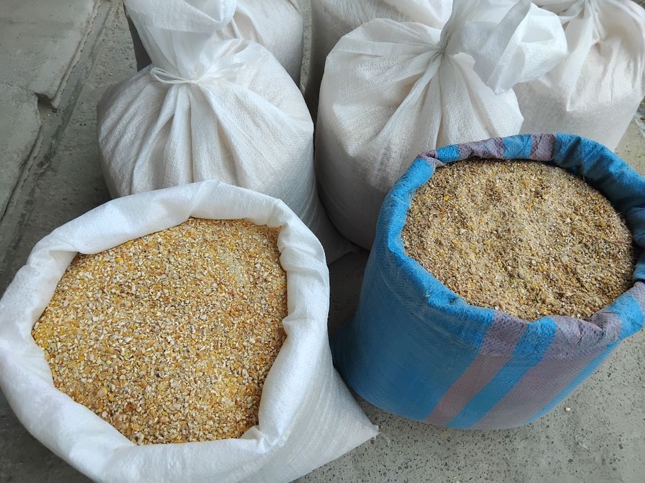 Pasza kukurydza mielona miesznka zbóż