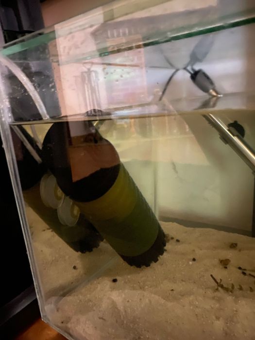 Filtro interno aquário Ziss 300 bubble moving média