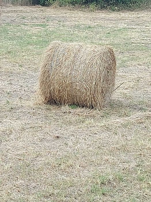 Palha  fardo em rolo