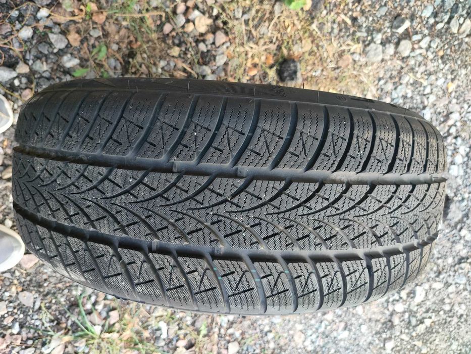 комплект зимових шин 205/55R17 95V Triangle WinterX 2023 року