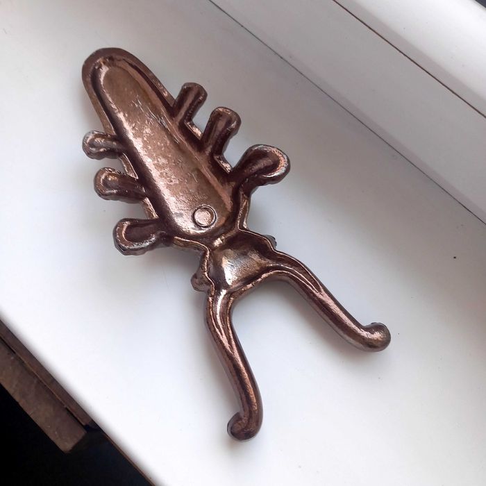 Skarabeusz  do.  obuwia