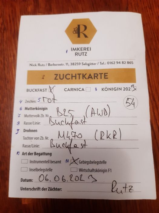 Бакфаст не плідні