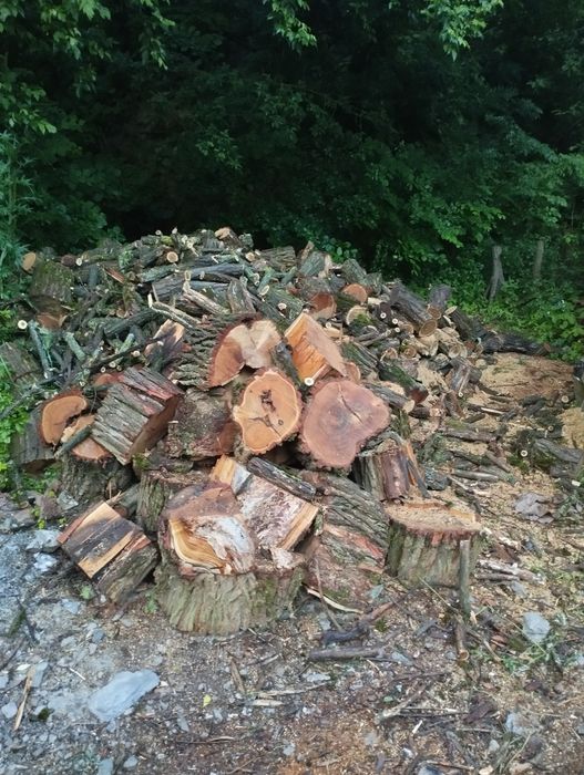 Дрова Акація Береза