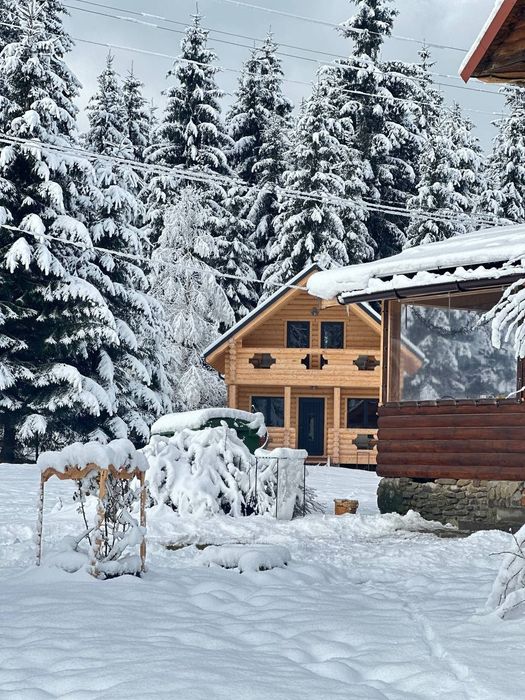 Оренда котеджа. Відпочинок Карпати.