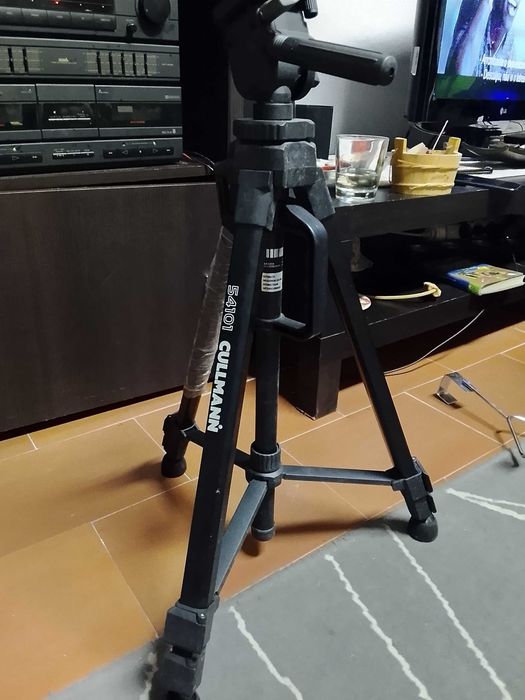 Sports Articles433726949352417284