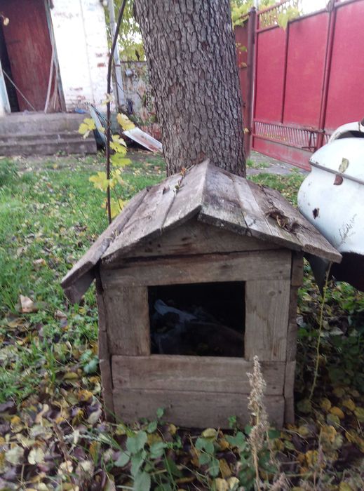 Будка собачка б.у?