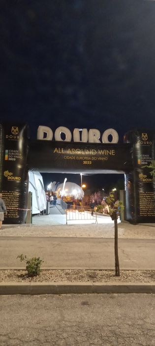 Azeite Novo Virgem Extra 0,2 acidez - Douro Vinhateiro