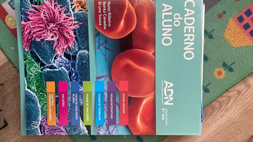 Conjunto de livros de fichas do 9 ano encadernados