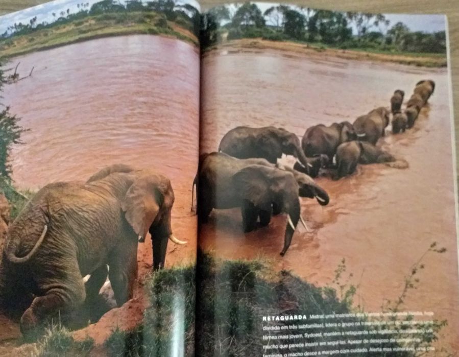 National Geographic - Stonehenge