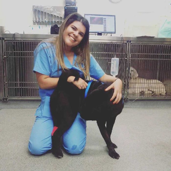 Pet Sitting com a Diana