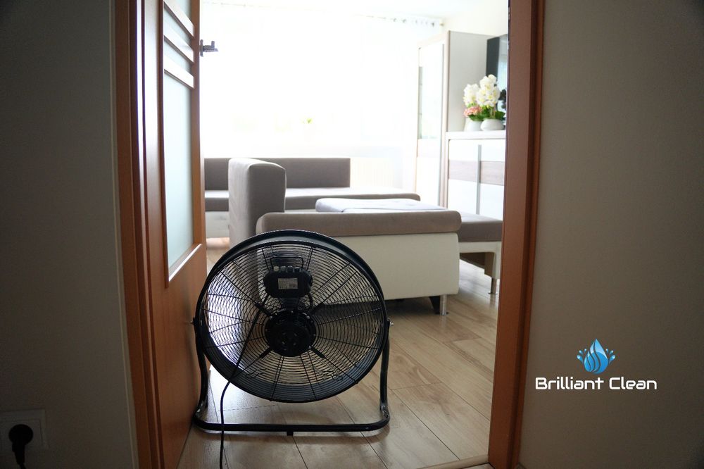 Specjalistyczne pranie tapicerki meblowej, wykładzin Gliwice i okolice