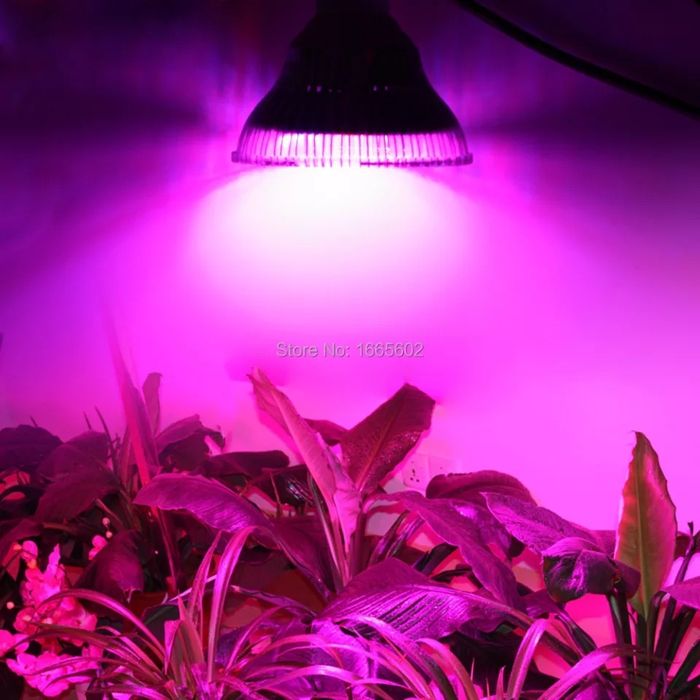Лампа для рослин, фітолампа, grow led bulb 54w