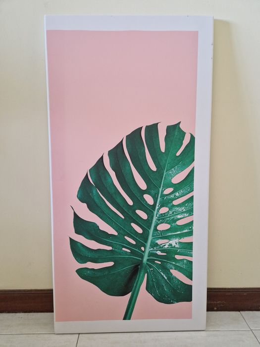 3 Quadros Plantas 40x80