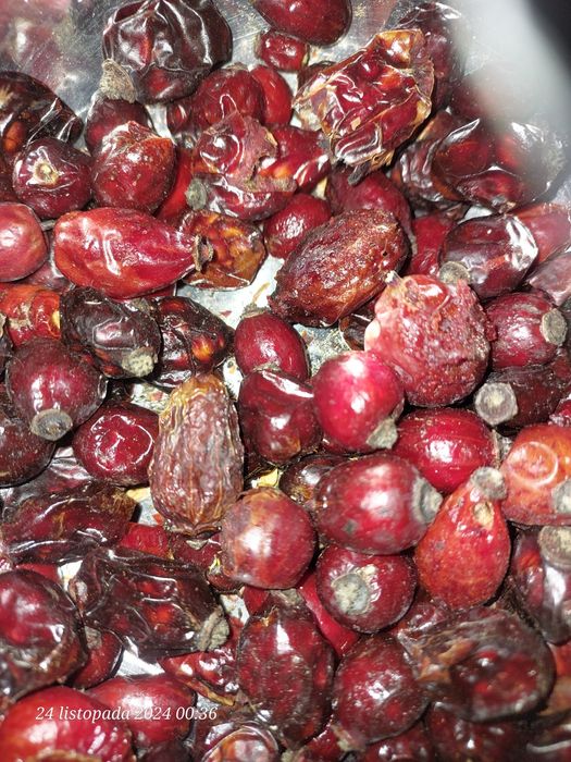 Dzika róża suszona owoce 1 kg zbiór Sudety / Bieszczady