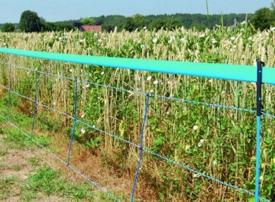 Siatka elektryczna do pastucha na dziki 50 m