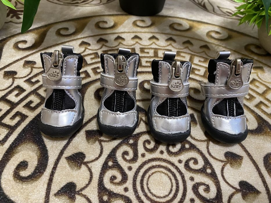 Ботинки для собак