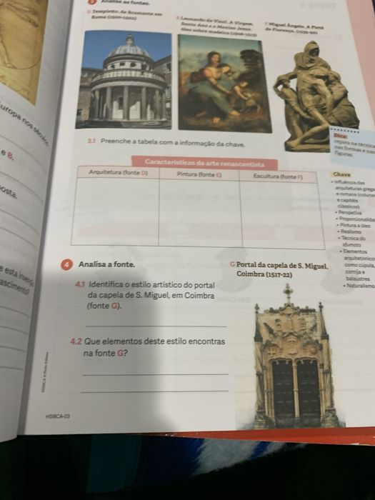 HSI 8 caderno de atividades