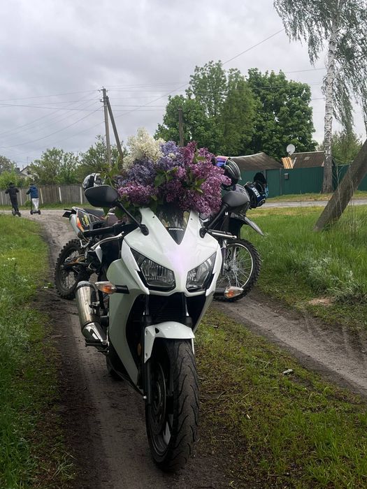 Продам honda cbr 300 ra