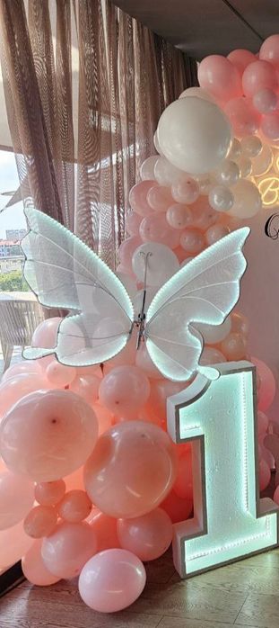 Оренда  прокат метелика