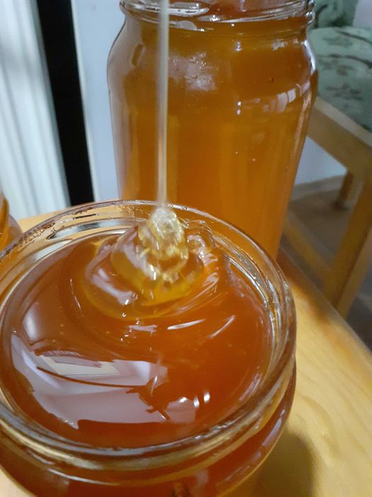 Mleczko pszczele w miodzie. Naturalne. Miód z Mleczkiem pszczelim