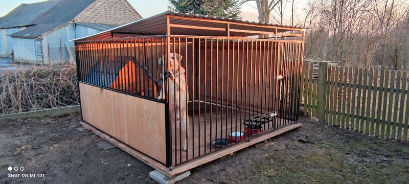 -KLATKA, ZAGRODA, DLA PIESKA *4mX4m*-montaż solidny +dowóz.