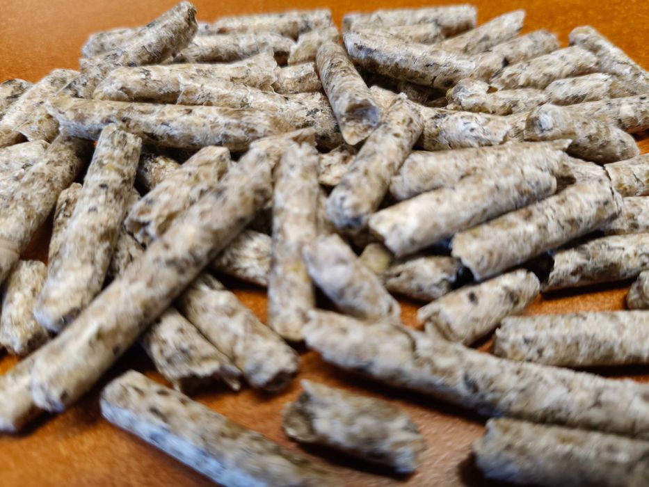 Wysłodki buraczane melasowane, niemelasowane - cena brutto z dostawa