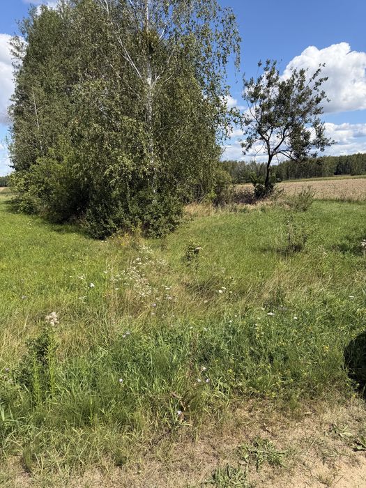 Działka Rekreacyjna Podlasie Reduty