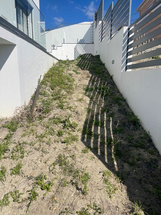 Limpeza e manutenção de jardins