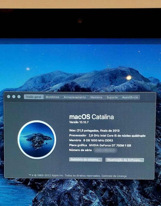 Apple imac 21,5" | finais 2013 | Intel i5 2.9 GHz | 8gb | 1 TB HD