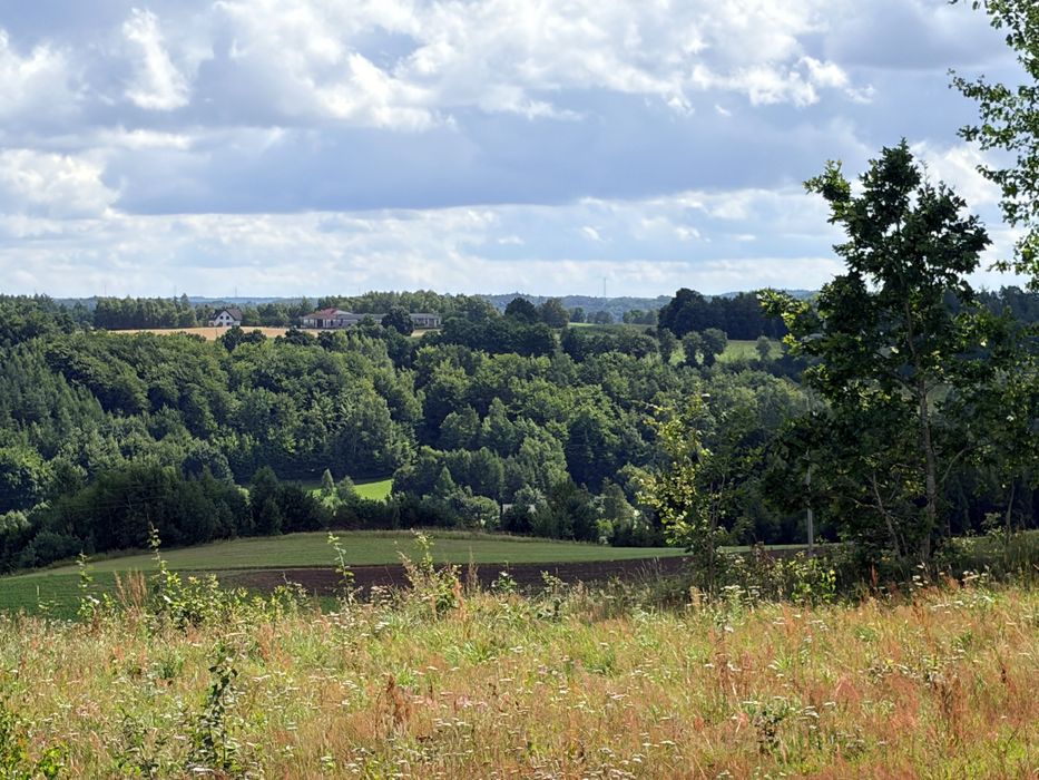 Działka budowlana z przestrzennym widokiem, Warunki zabudowy (WZ), woda i prąd - Więcej