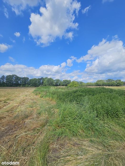 Działka budowlana 3055 m² z wydanymi warunkami zabudowy – Glinik - Widok 4