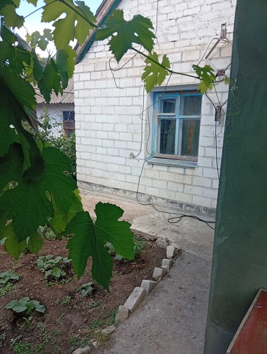 Продаю дом ст. Водопой ул. Коминтерна