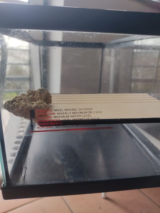 Aquário para tartaruga Terratlantis