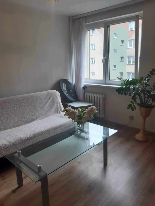 Wynajme mieszkanie w centrum glogowa