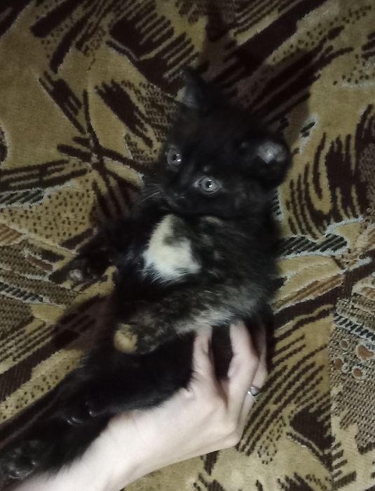 Маленька дівчинка в пошуку люблячої родини